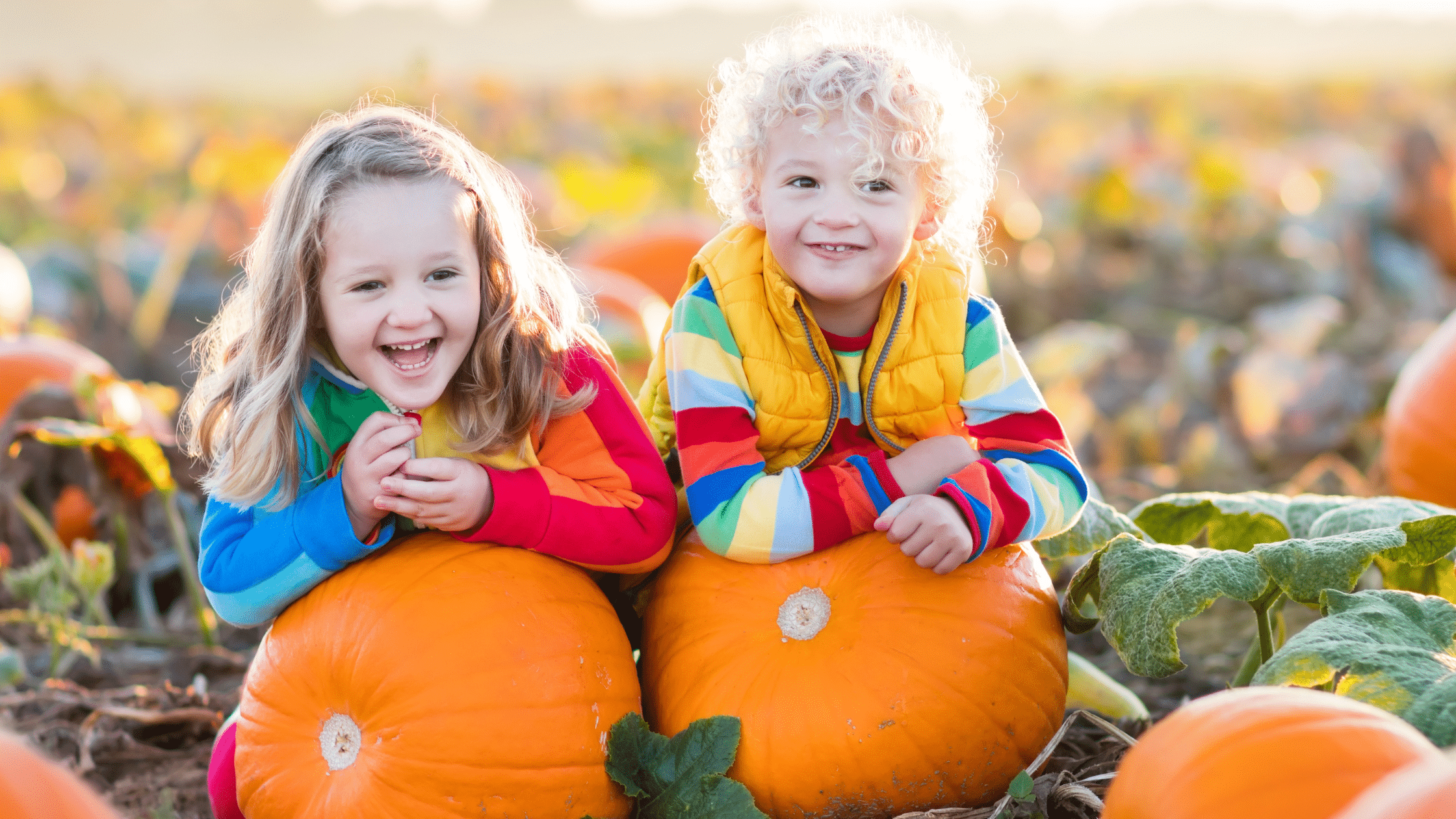 Children in a pumpkin patch in Edmond, OK